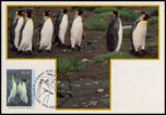 KINGSTON TAS - Tarjeta Postal matasellada DxPedition Cancelada VK0IR - HEARD Isl. - 14 Febrero 1996